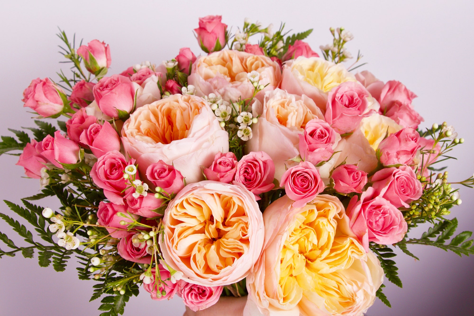 flower delivery Lismore